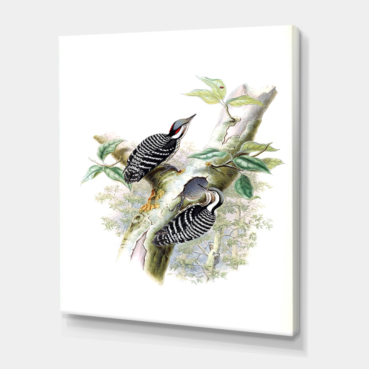 Designart - Vintage Birds In The Wild V - Traditional Canvas Wall Art Print